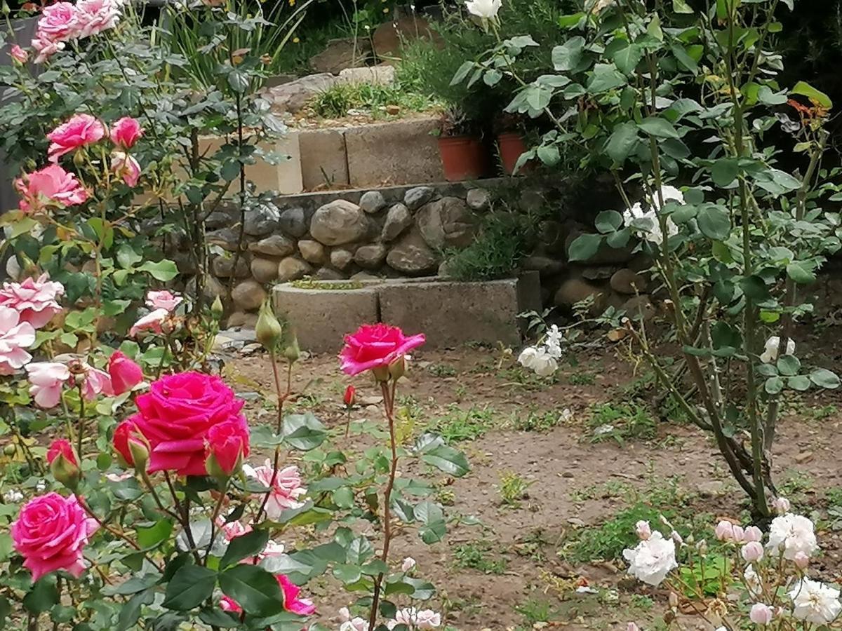 Aanhuizen Guest House Swellendam Εξωτερικό φωτογραφία